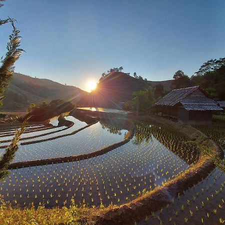 فيلا كويت مشيم فارم ستاي Ban Mae Pan Noi المظهر الخارجي الصورة