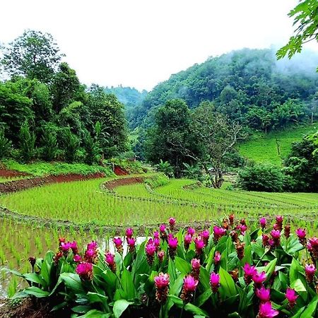 فيلا كويت مشيم فارم ستاي Ban Mae Pan Noi المظهر الخارجي الصورة