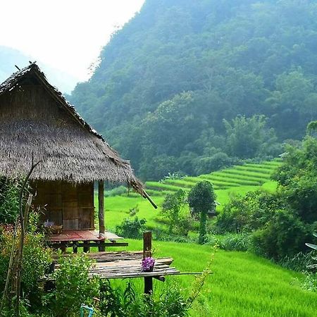 فيلا كويت مشيم فارم ستاي Ban Mae Pan Noi المظهر الخارجي الصورة