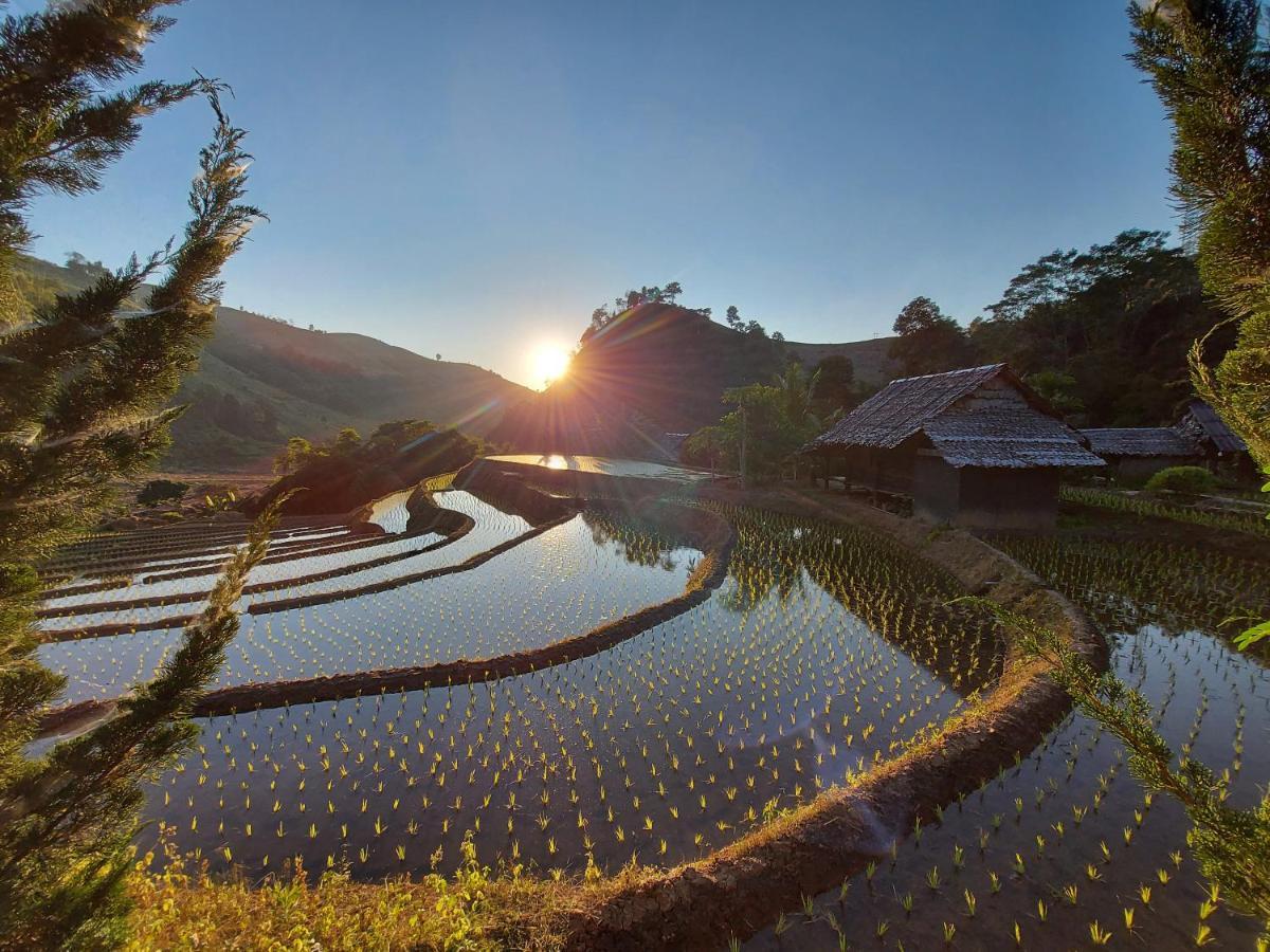 فيلا كويت مشيم فارم ستاي Ban Mae Pan Noi المظهر الخارجي الصورة