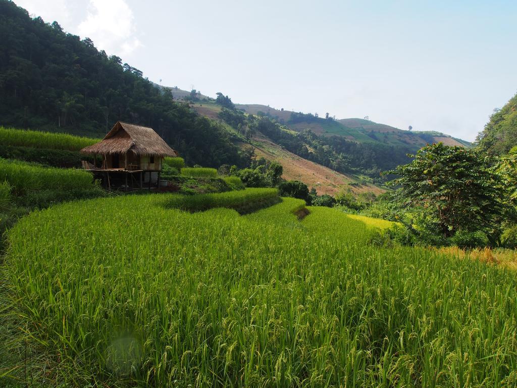 فيلا كويت مشيم فارم ستاي Ban Mae Pan Noi المظهر الخارجي الصورة