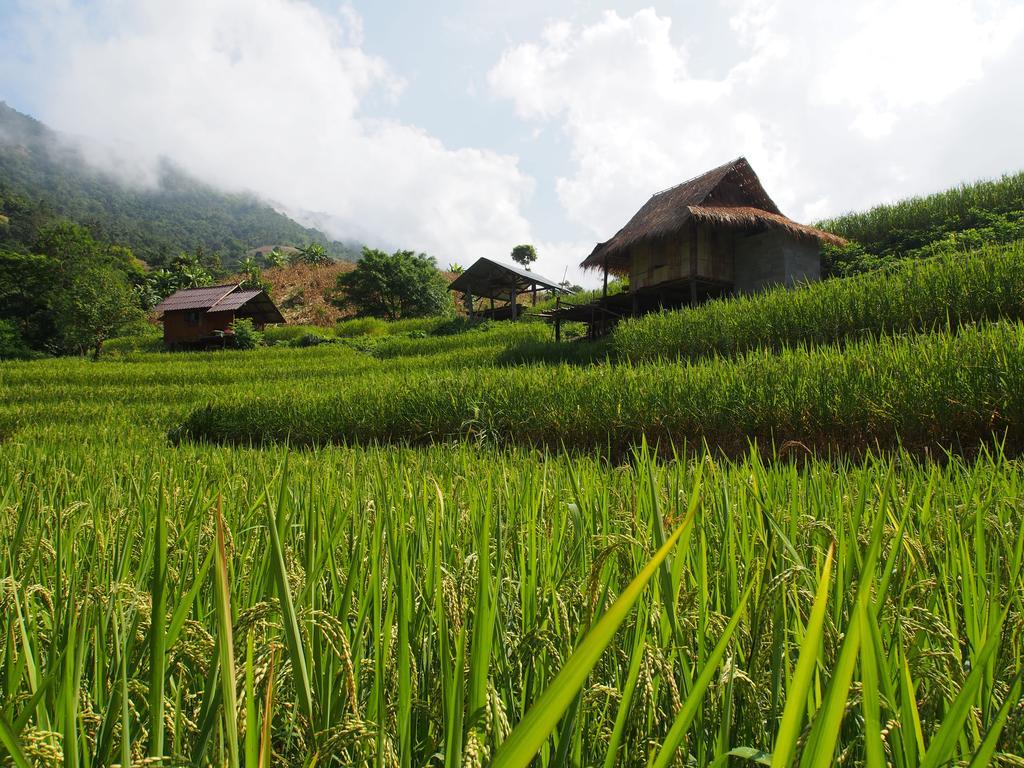 فيلا كويت مشيم فارم ستاي Ban Mae Pan Noi المظهر الخارجي الصورة