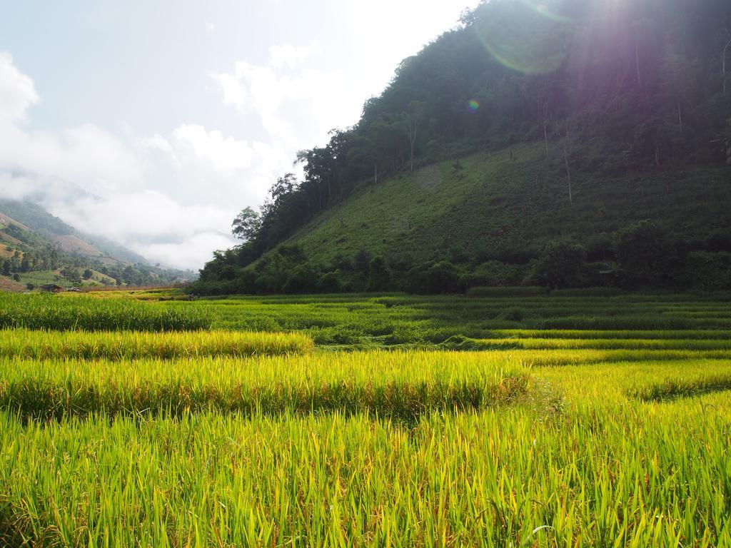 فيلا كويت مشيم فارم ستاي Ban Mae Pan Noi المظهر الخارجي الصورة