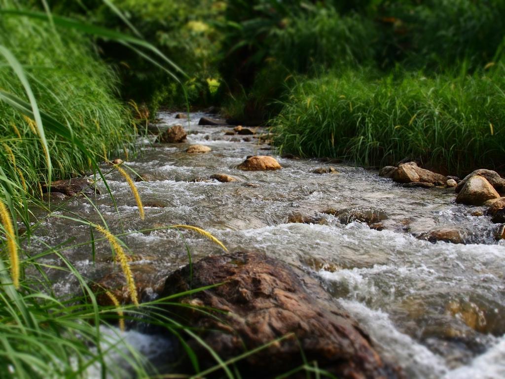 فيلا كويت مشيم فارم ستاي Ban Mae Pan Noi المظهر الخارجي الصورة