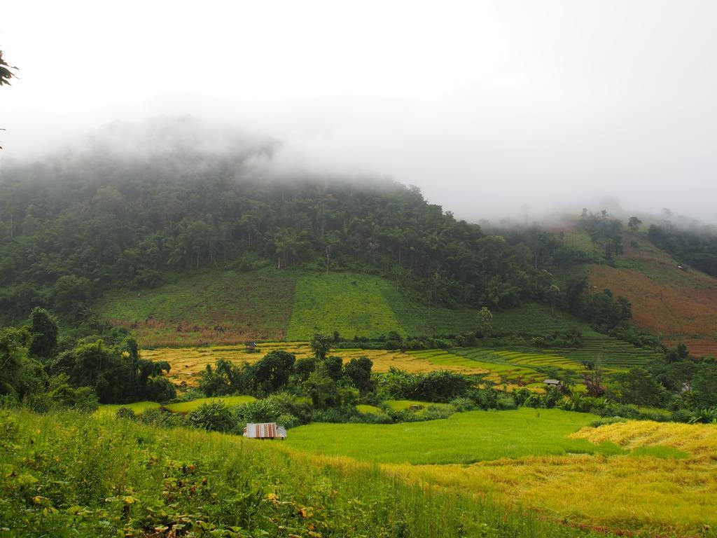 فيلا كويت مشيم فارم ستاي Ban Mae Pan Noi المظهر الخارجي الصورة