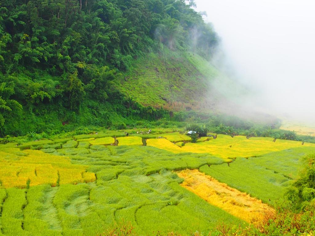 فيلا كويت مشيم فارم ستاي Ban Mae Pan Noi المظهر الخارجي الصورة