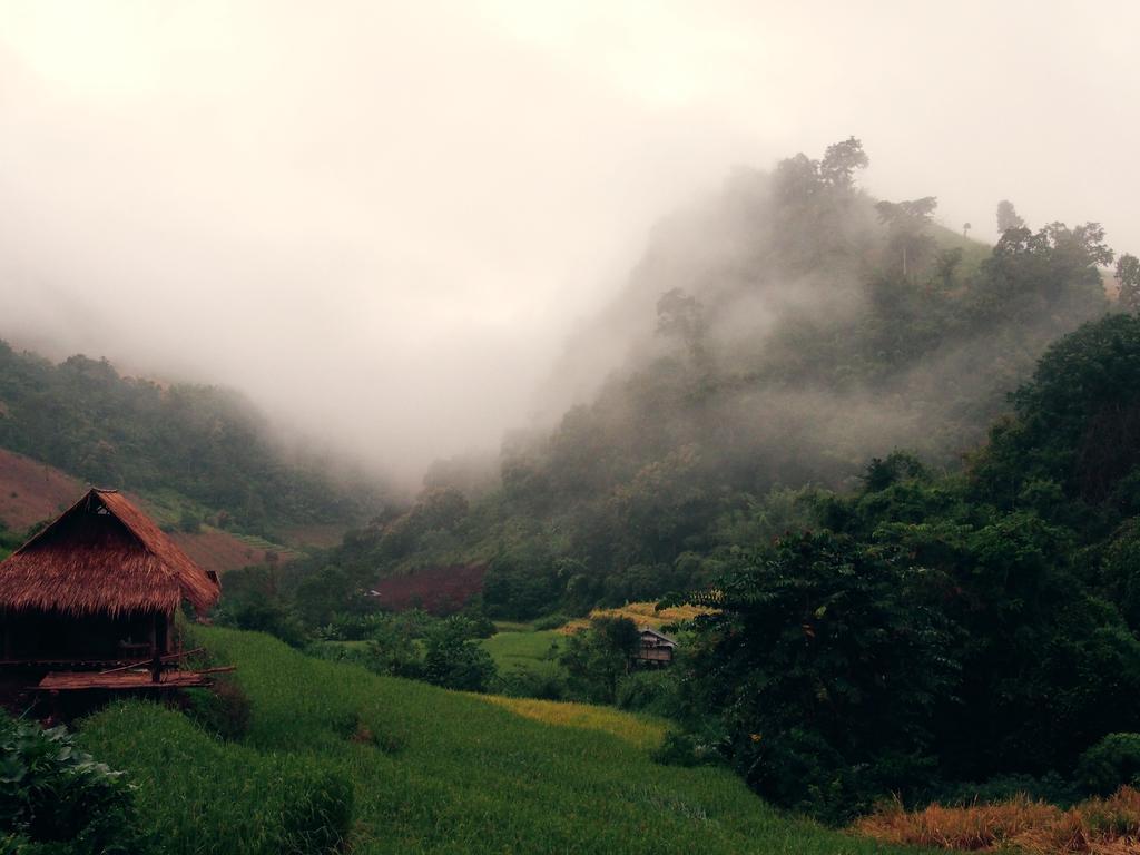 فيلا كويت مشيم فارم ستاي Ban Mae Pan Noi المظهر الخارجي الصورة
