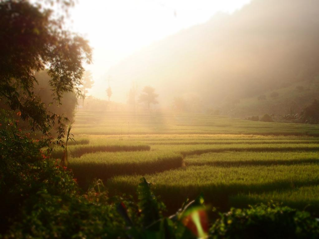 فيلا كويت مشيم فارم ستاي Ban Mae Pan Noi المظهر الخارجي الصورة