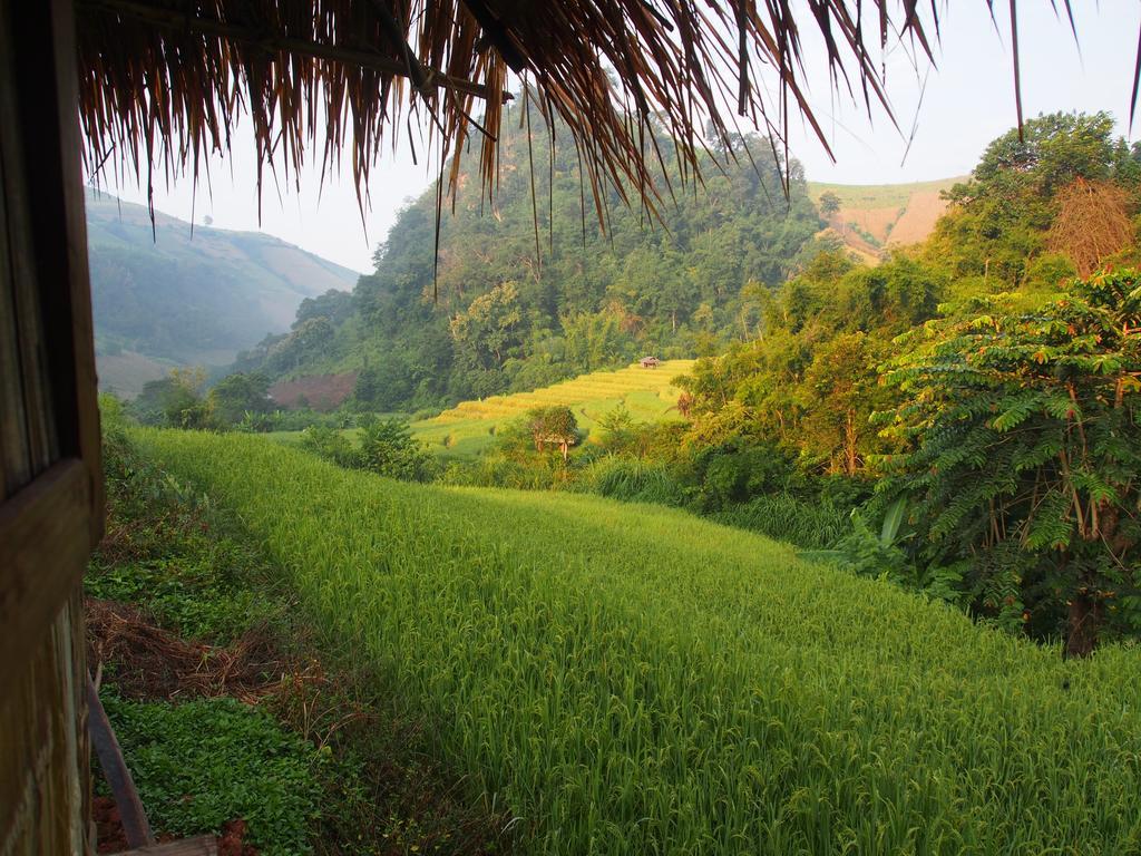 فيلا كويت مشيم فارم ستاي Ban Mae Pan Noi المظهر الخارجي الصورة