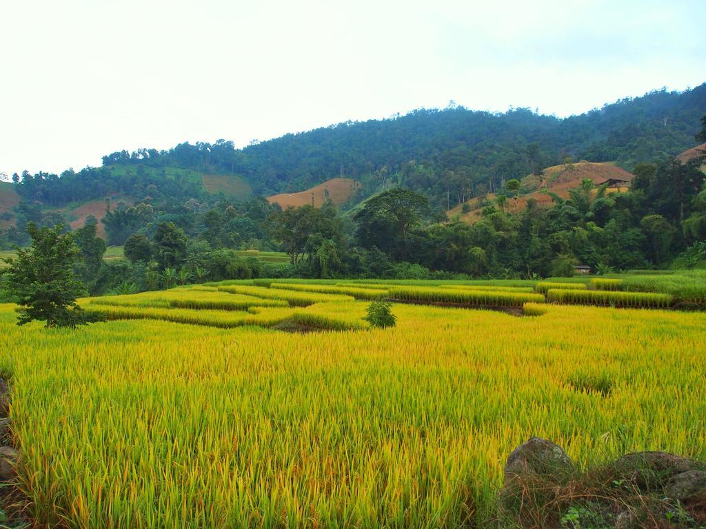 فيلا كويت مشيم فارم ستاي Ban Mae Pan Noi المظهر الخارجي الصورة