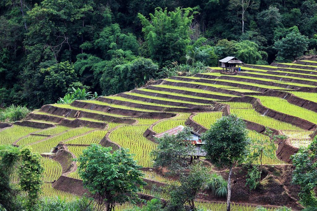 فيلا كويت مشيم فارم ستاي Ban Mae Pan Noi المظهر الخارجي الصورة