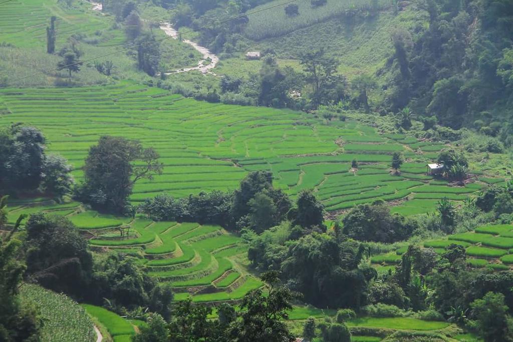 فيلا كويت مشيم فارم ستاي Ban Mae Pan Noi المظهر الخارجي الصورة