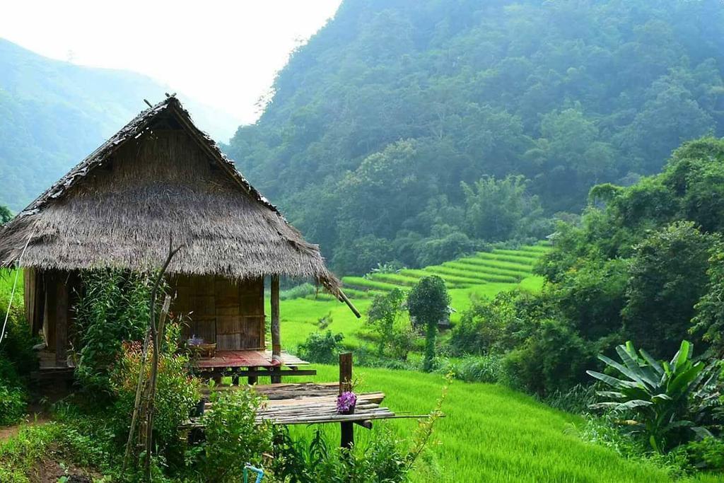 فيلا كويت مشيم فارم ستاي Ban Mae Pan Noi المظهر الخارجي الصورة
