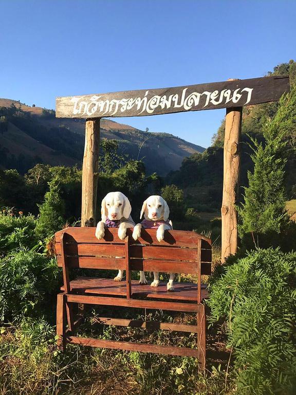 فيلا كويت مشيم فارم ستاي Ban Mae Pan Noi المظهر الخارجي الصورة